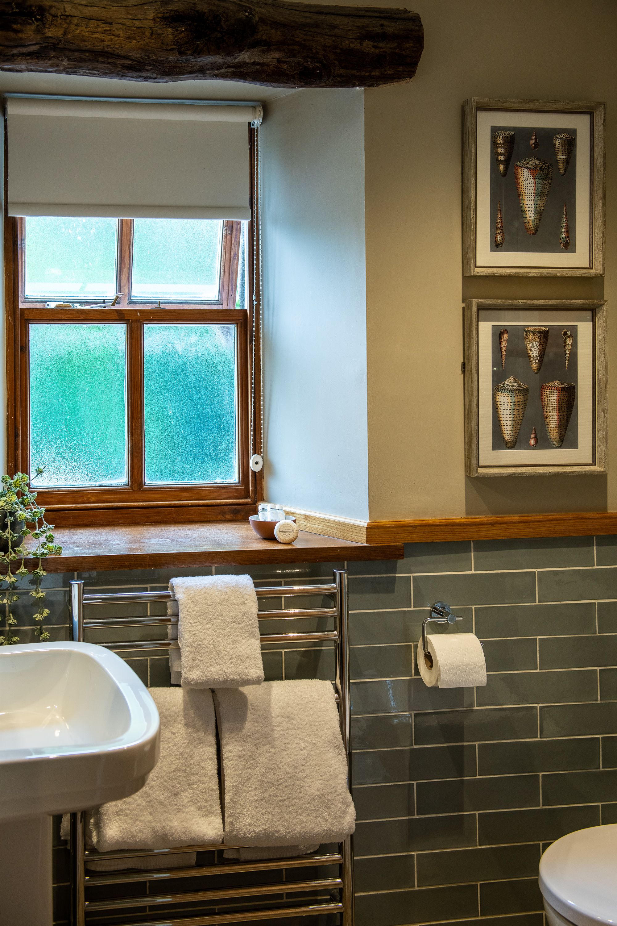 Bathroom overview with teal tiles and photos on the wall