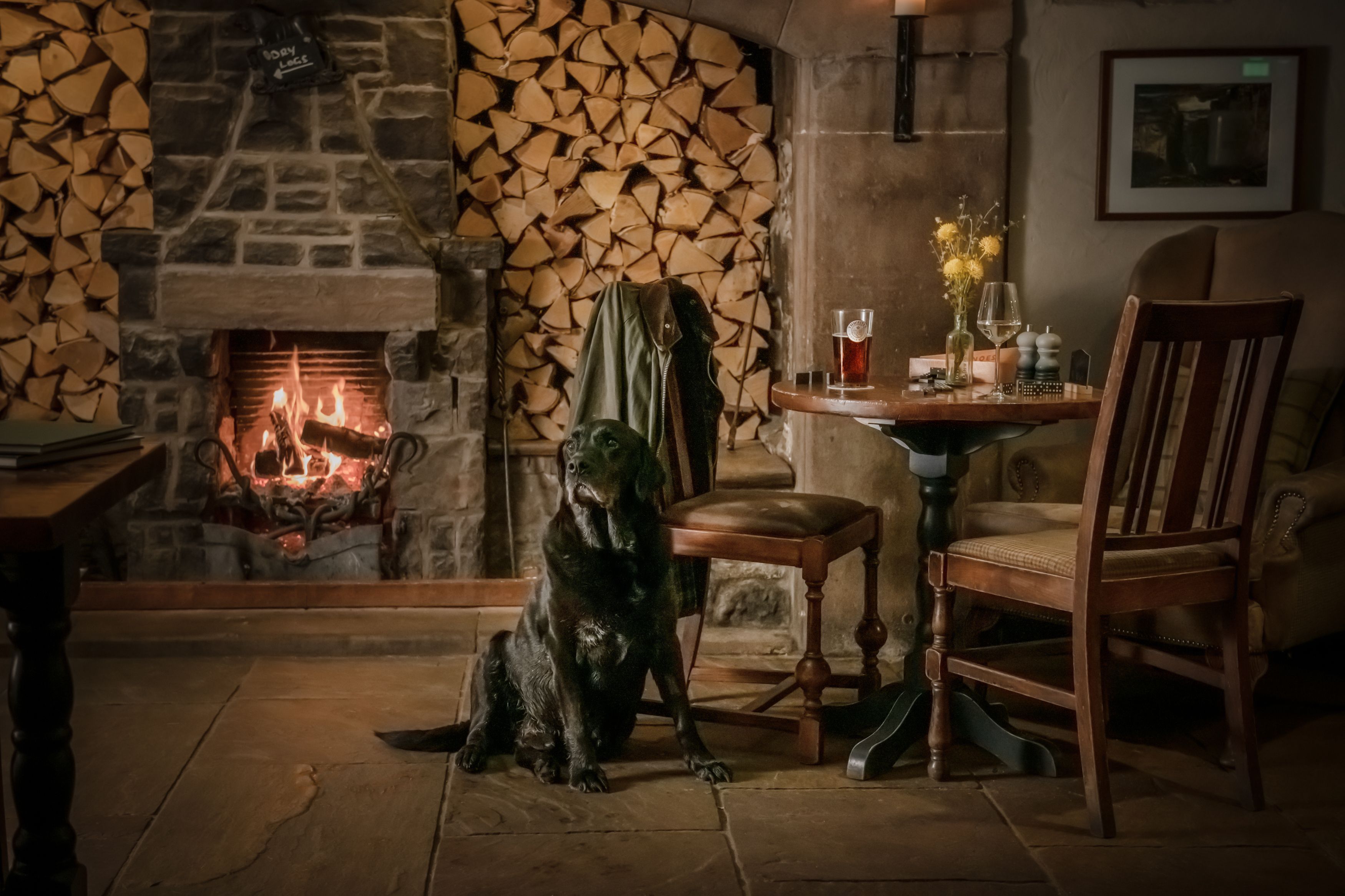 dog in front of fire