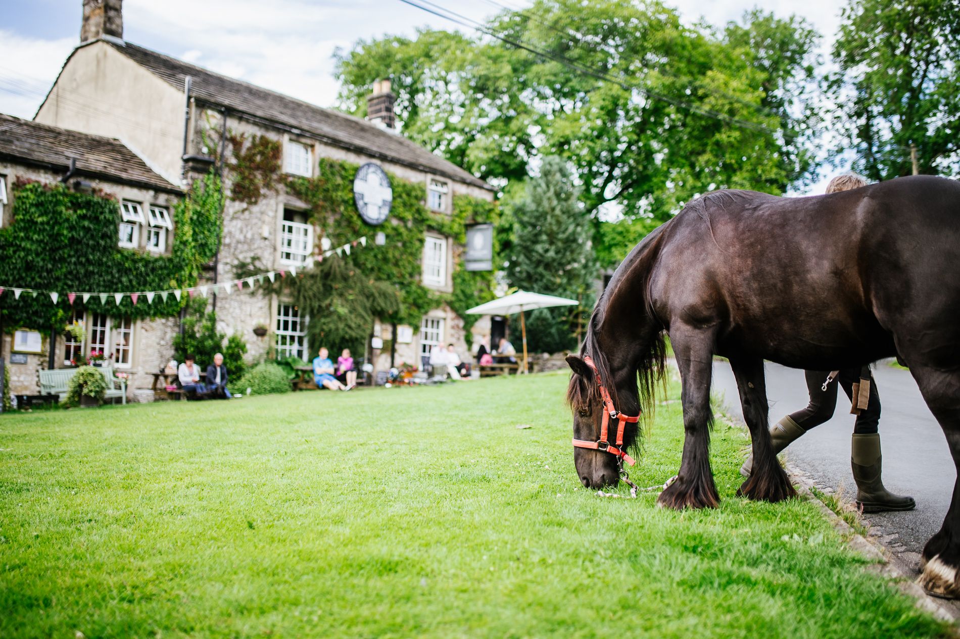 horse eating grass outside the lister arms