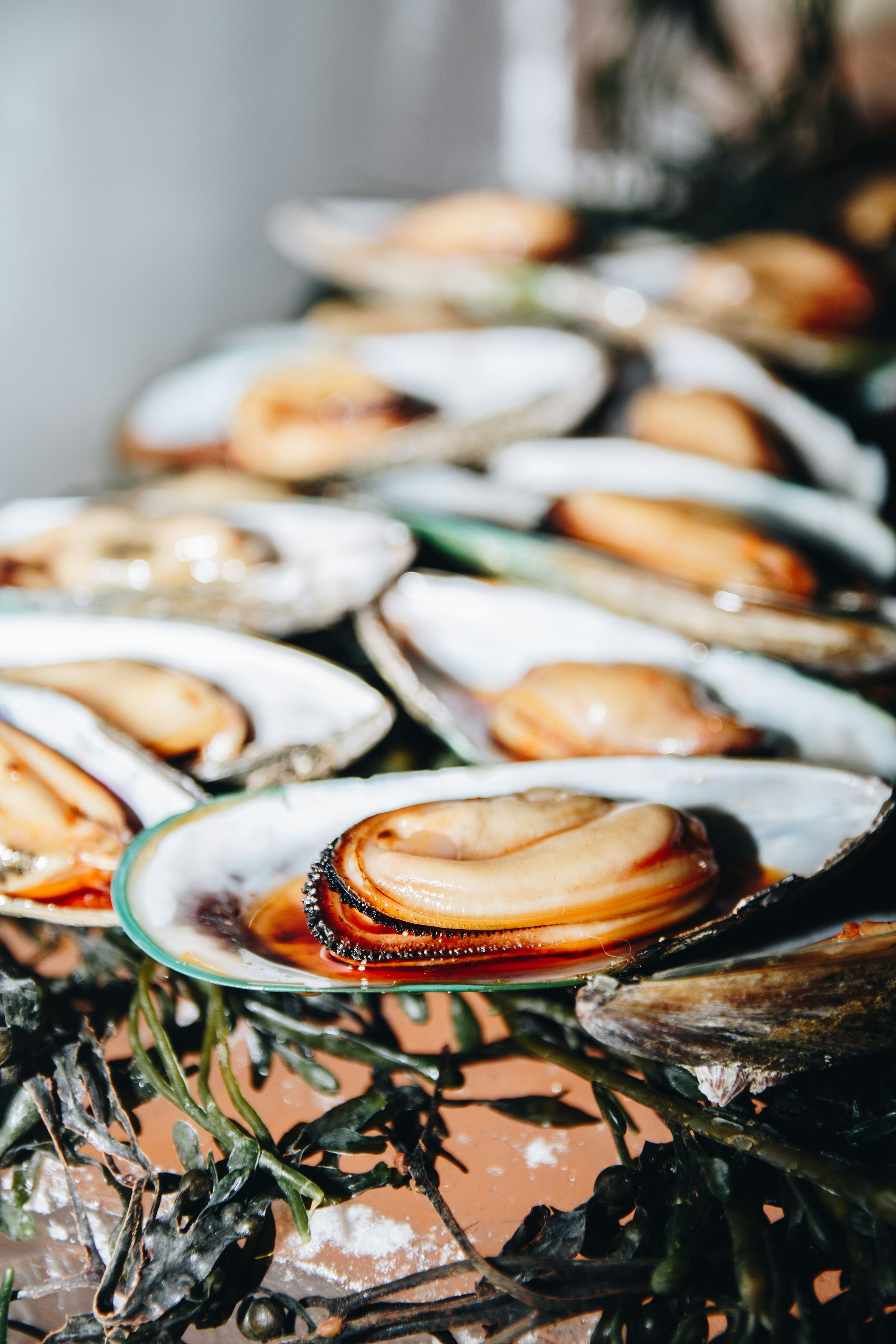 shetland mussels